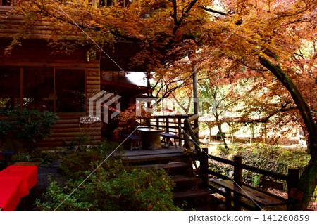茨城縣醍醐町月町瀑布楓園、紅葉園茶室 茨城縣醍醐町月町瀑布楓園、紅葉園茶室 141260859