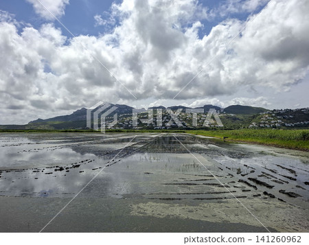 A view shows flooded marshlands with water reflecting the sky. Dry grass is in front, and mountains rise in the distance. This scene captures a farming area after rain. A view shows flooded marshlands with water reflecting the sky. Dry grass is in front, and mountains rise in the distance. This scene captures a farming area after rain. 141260962