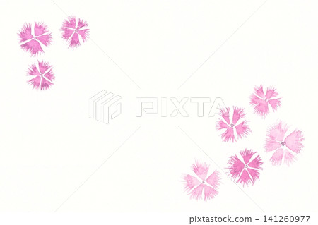 Hand-painted watercolor illustration of pink carnations on a card Hand-painted watercolor illustration of pink carnations on a card 141260977