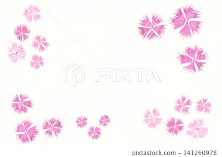Hand-painted watercolor illustration of a carnation, framed. Hand-painted watercolor illustration of a carnation, framed. 141260978