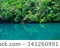 A pond in the forest, surrounded by fresh greenery. A pond in the forest, surrounded by fresh greenery. 141260991