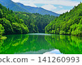 A pond in the forest, surrounded by fresh greenery. A pond in the forest, surrounded by fresh greenery. 141260993