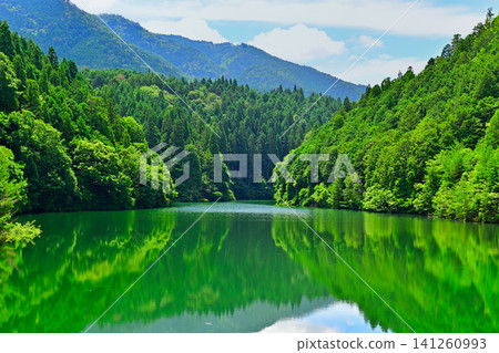 A pond in the forest, surrounded by fresh greenery. A pond in the forest, surrounded by fresh greenery. 141260993
