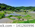 Terraced rice fields during rice planting season Terraced rice fields during rice planting season 141260996