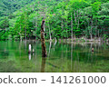 A pond nestled in the greenery of the high mountains. A pond nestled in the greenery of the high mountains. 141261000