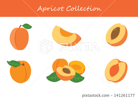 apricot collection. apricot in different poses apricot collection. apricot in different poses 141261177