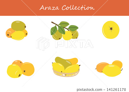 araza collection. araza in different poses araza collection. araza in different poses 141261178