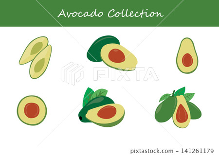 avocado collection. avocado in different poses 141261179