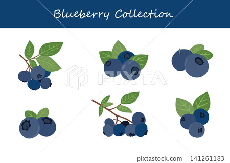 blueberry collection. blueberry in different poses blueberry collection. blueberry in different poses 141261183