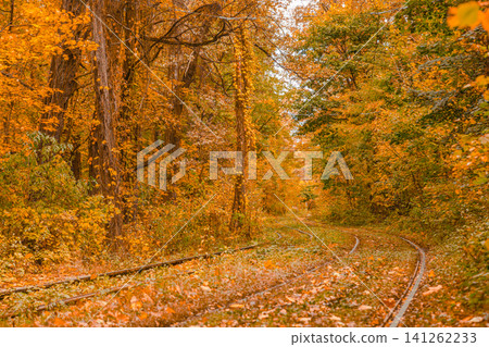 Autumn forest through which the tram travels, Kyiv and rails Autumn forest through which the tram travels, Kyiv and rails 141262233