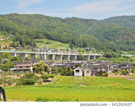 初夏時節的鄉村景色 初夏時節的鄉村景色 141262427