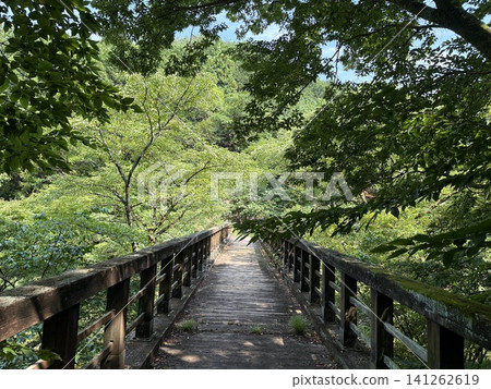 一座木橋和步行道,周圍綠樹環繞。 一座木橋和步行道,周圍綠樹環繞。 141262619