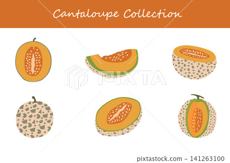 cantaloupe collection. cantaloupe in different poses cantaloupe collection. cantaloupe in different poses 141263100