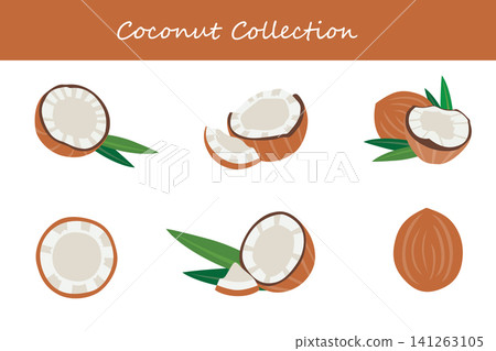 coconut collection. coconut in different poses coconut collection. coconut in different poses 141263105
