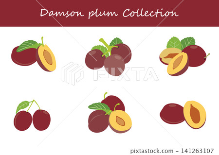 damson plum collection. damson plum in different poses damson plum collection. damson plum in different poses 141263107