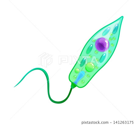 Bacteria bacillus or ameba germ microorganism icon of microbe bacterium or pathogen parasite. Green amoeba cell of protozoa or protista microbiome of microscopic microbiota or bacteria micro organism Bacteria bacillus or ameba germ microorganism icon of microbe bacterium or pathogen parasite. Green amoeba cell of protozoa or protista microbiome of microscopic microbiota or bacteria micro organism 141263175