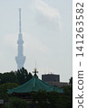 The roof of the Bentendo temple at Shinobazu Pond in Ueno Park, with the Tokyo Skytree shrouded in mist in the background. 141263582