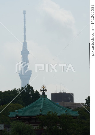 The roof of the Bentendo temple at Shinobazu Pond in Ueno Park, with the Tokyo Skytree shrouded in mist in the background. 141263582