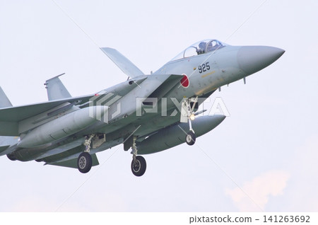 Air Self-Defense Force F-15J preparing to land Air Self-Defense Force F-15J preparing to land 141263692