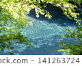勇信藍3 141263724