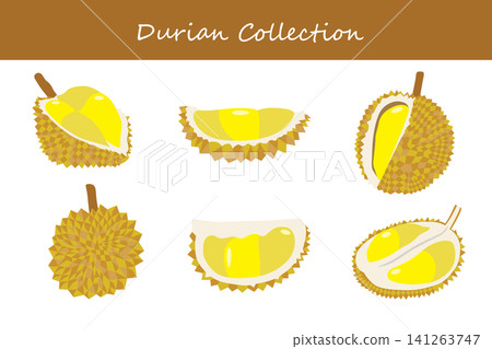 durian collection. durian in different poses durian collection. durian in different poses 141263747