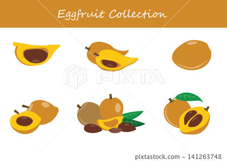 eggfruit collection. eggfruit in different poses eggfruit collection. eggfruit in different poses 141263748