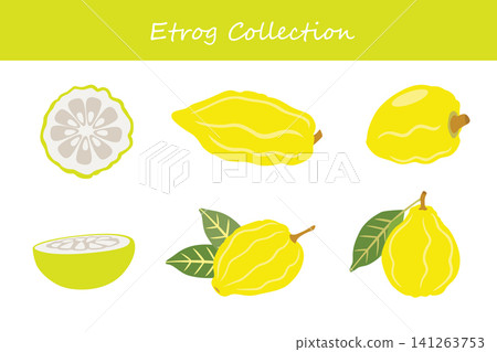 etrog collection. etrog in different poses etrog collection. etrog in different poses 141263753