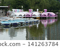 Rowboats and colorful swan boats lined up at the boat landing on Shinobazu Pond in Ueno Park. 141263784