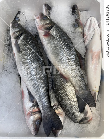 Fresh fish on ice in seafood market display, ideal for culinary backgrounds or food industry concepts Fresh fish on ice in seafood market display, ideal for culinary backgrounds or food industry concepts 141263836