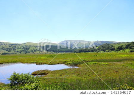 Yashimagahara Marsh (Yashima Marsh), a valuable high-altitude wetland located in Kirigamine, Nagano Prefecture, which is also designated as a national natural monument. (View 9) Yashimagahara Marsh (Yashima Marsh), a valuable high-altitude wetland located in Kirigamine, Nagano Prefecture, which is also designated as a national natural monument. (View 9) 141264637