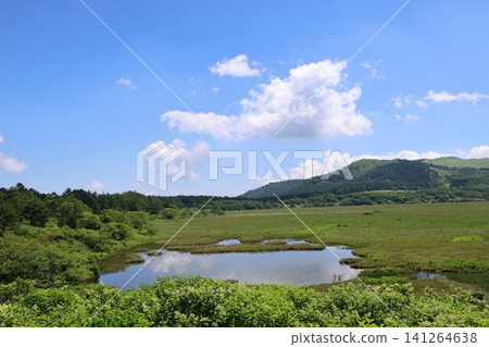 Yashimagahara Marsh (Yashima Marsh), a valuable high-altitude wetland located in Kirigamine, Nagano Prefecture, designated as a national natural monument. (Scenery 10) Yashimagahara Marsh (Yashima Marsh), a valuable high-altitude wetland located in Kirigamine, Nagano Prefecture, designated as a national natural monument. (Scenery 10) 141264638