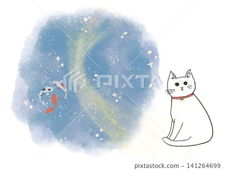貓與星空 141264699