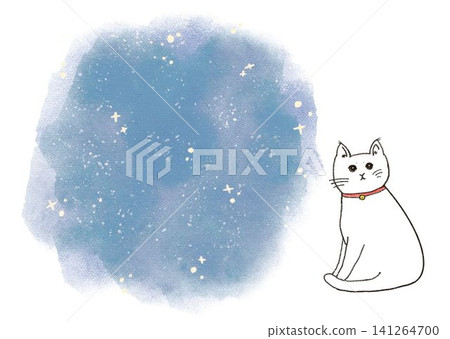 貓與星空 貓與星空 141264700
