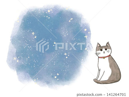 貓與星空 141264701