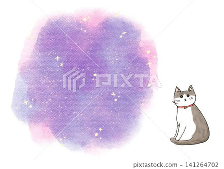 貓與星空 貓與星空 141264702