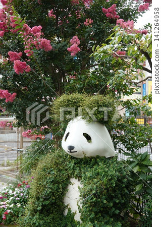A panda sculpture covered in plants and crape myrtle flowers at the entrance of Ueno Park in summer. 141264958