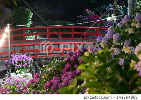 Red bridge and hydrangeas at Katahara Onsen Ajisai no Sato (Hydrangea Village) 141264962