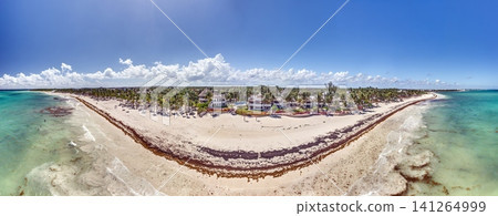 Playa Maroma Beach with Sargassum Seaweed Aerial Panorama Riviera Maya Mexico Playa Maroma Beach with Sargassum Seaweed Aerial Panorama Riviera Maya Mexico 141264999