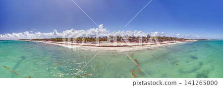 Aerial Playa Maroma with Sargassum Riviera Maya Mexico Aerial Playa Maroma with Sargassum Riviera Maya Mexico 141265000