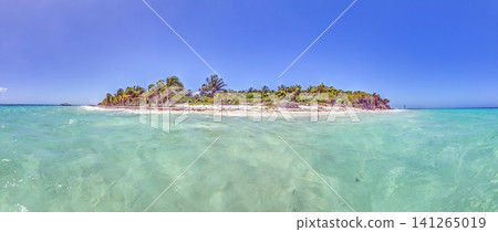 Tropical Islet in Crystal Clear Caribbean Water Riviera Maya 141265019