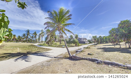 Tulum Ruins with Palm Trees on Caribbean Coast Tulum Ruins with Palm Trees on Caribbean Coast 141265024