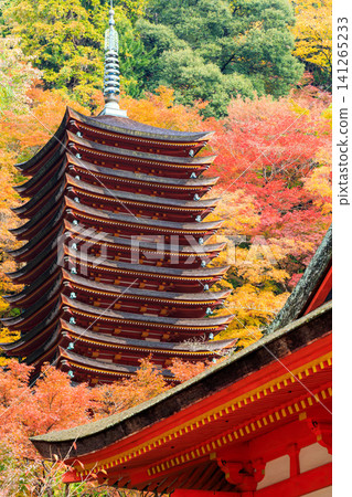 [Nara Prefecture] Tanzan Shrine, Sakurai City (Photo taken on November 20, 2013) 141265233