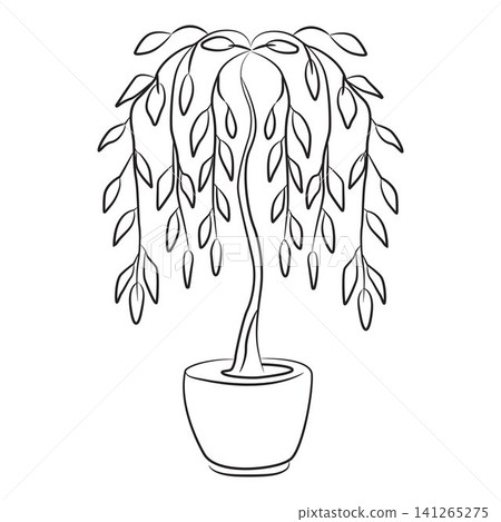 weeping willow tree house plant outline for coloring pages weeping willow tree house plant outline for coloring pages 141265275