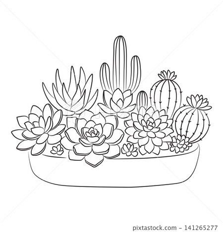 various succulents and cacti potted house plant outline for coloring pages various succulents and cacti potted house plant outline for coloring pages 141265277