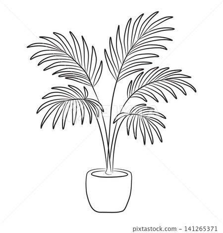 palm tree house plant outline for coloring pages palm tree house plant outline for coloring pages 141265371