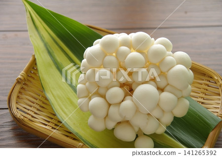 白玉菇 白玉菇 141265392