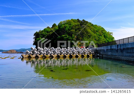 Arashima Island and wave-dissipating blocks Arashima Island and wave-dissipating blocks 141265615