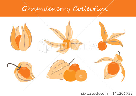 groundcherry collection. groundcherry in different poses groundcherry collection. groundcherry in different poses 141265732