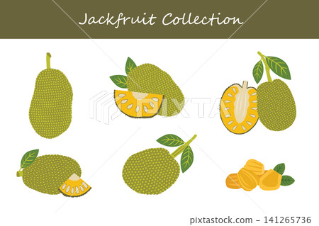 jackfruit collection. jackfruit in different poses jackfruit collection. jackfruit in different poses 141265736