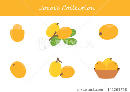 jocote collection. jocote in different poses jocote collection. jocote in different poses 141265738